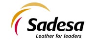LogoSadesa-min